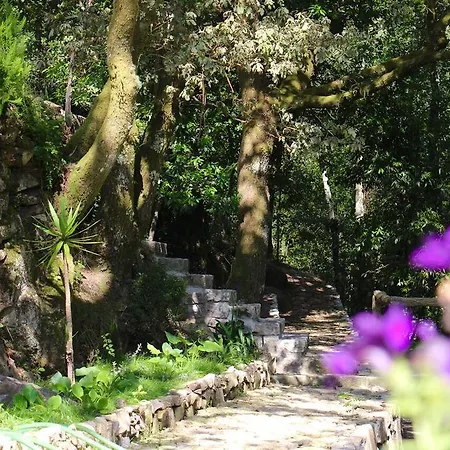 Moinho Do Azere Vakantieboerderij Arcos de Valdevez