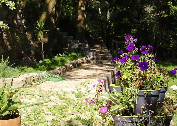 Moinho Do Azere * Arcos de Valdevez